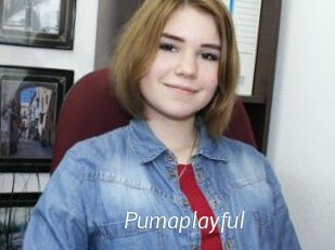 Pumaplayful