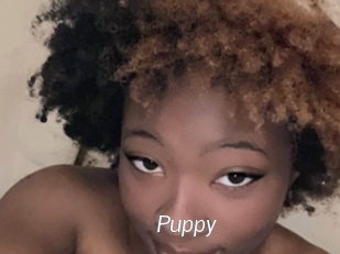 Puppy