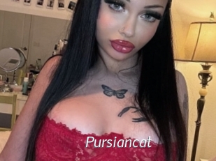 Pursiancat