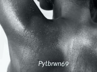 Pytbrwn69