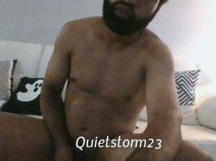 Quietstorm23