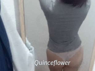Quinceflower