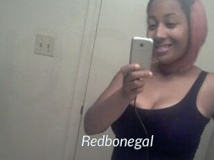 Redbonegal