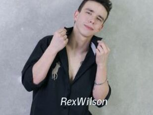 RexWilson Porn Star