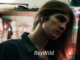 RoyWild