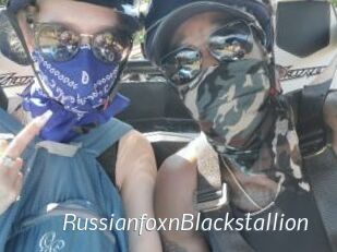 RussianfoxnBlackstallion