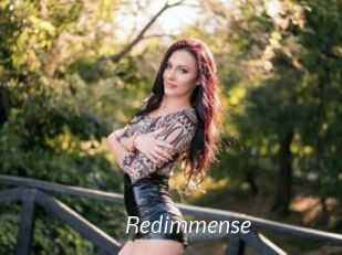 Redimmense