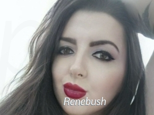 Renebush