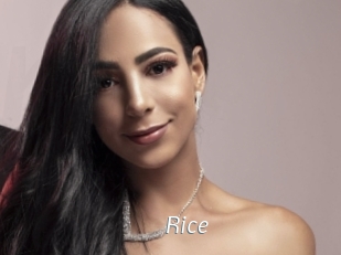 Rice