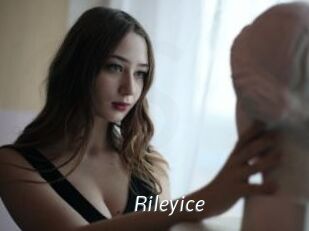 Rileyice