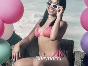 Rileynacci