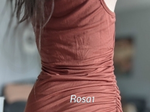 Rosa1