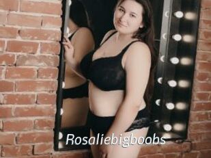 Rosaliebigboobs