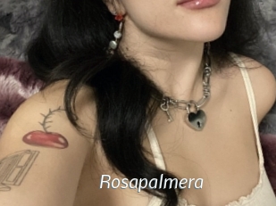 Rosapalmera