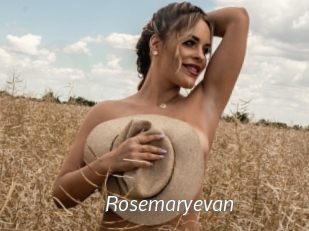 rosemaryevan Porn Star