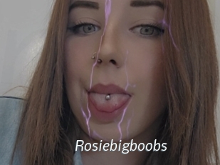 rosiebigboobs Porn Star