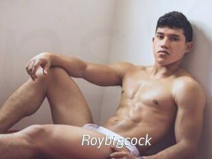 Roybigcock