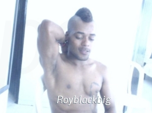 royblackbig Porn Star