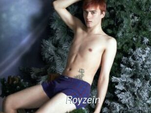 Royzein