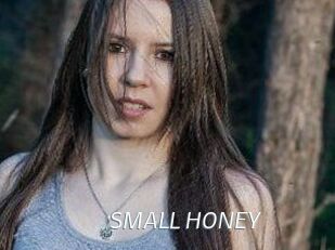 SMALL_HONEY
