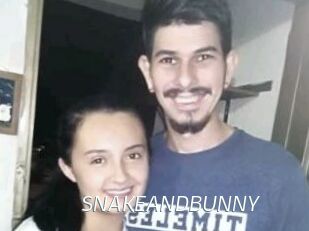 SNAKEANDBUNNY