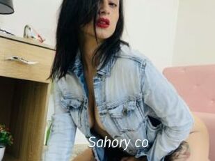 Sahory_co