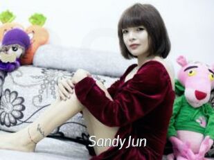 SandyJun Porn Star