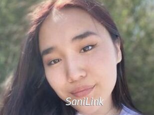 SaniLink