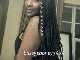 Sassyeboney3838