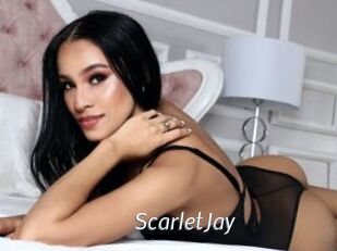 ScarletJay