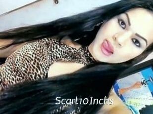 Scart10Inchs