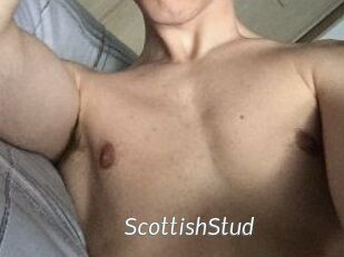 Scottish_Stud