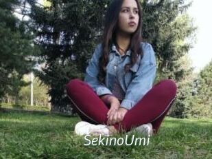 SekinoUmi