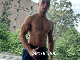 Sensei_hot