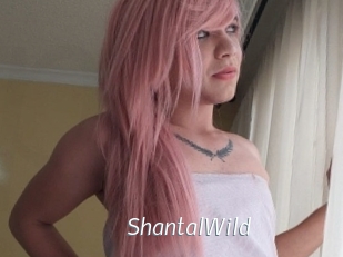 ShantalWild Porn Star