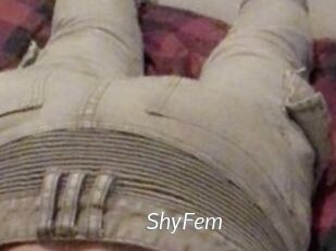 ShyFem