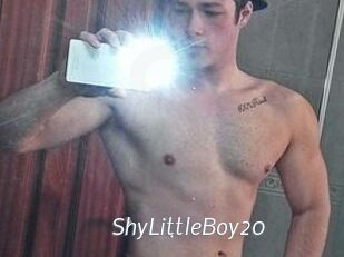 ShyLittleBoy20