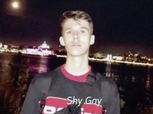 Shy_Gay