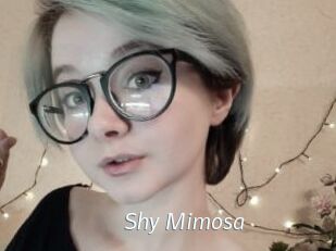 Shy_Mimosa