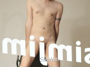 SimJim