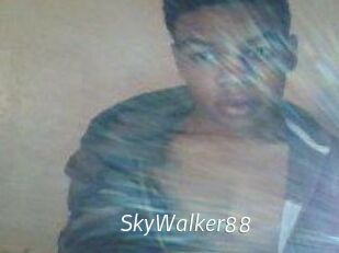 SkyWalker88