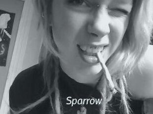 Sparrow