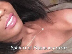 SphinxCat_Puuuuuuurrrrrrrr_
