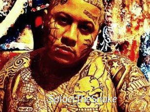 SpiderTheSnake
