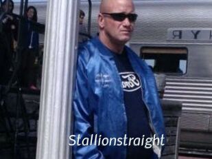 Stallionstraight
