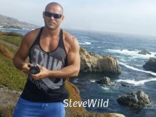 Steve_Wild
