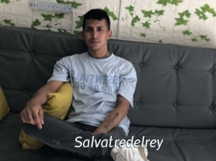 Salvatredelrey