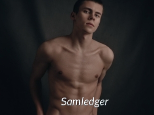 Samledger
