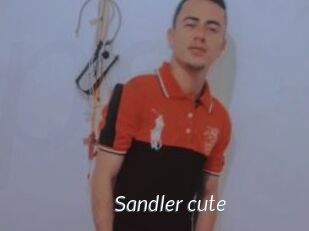 Sandler_cute