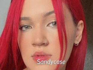 Sandycase